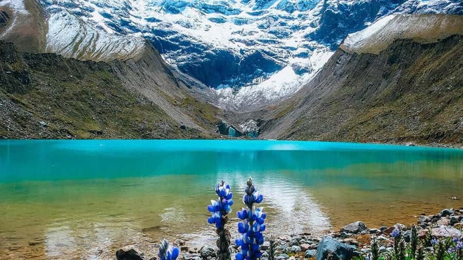 1 day excursion to the Humantay Lake from Cusco. - Key points to know before you book