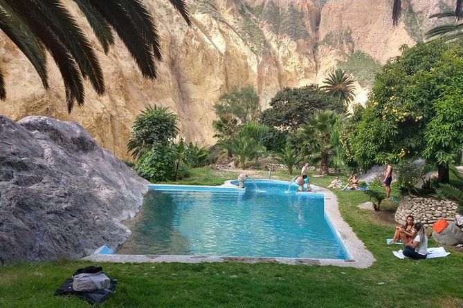 2 Day 1 Night Trek / Colca Canyon - The high pass and camelids of Pampa Cañahuas