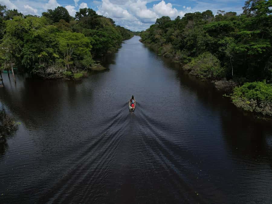 2-Day All Inclusive Guided Jungle Tour from Iquitos - Key points to know before you book
