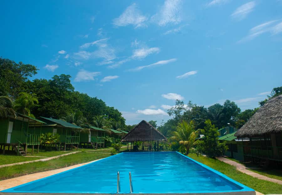 2-Day All Inclusive Guided Jungle Tour from Iquitos - Monkey Island and close wildlife encounters