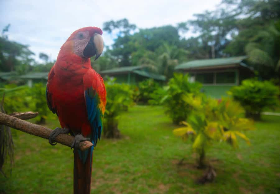 2-Day All Inclusive Guided Jungle Tour from Iquitos - Sleeping at Maniti Eco-Lodge