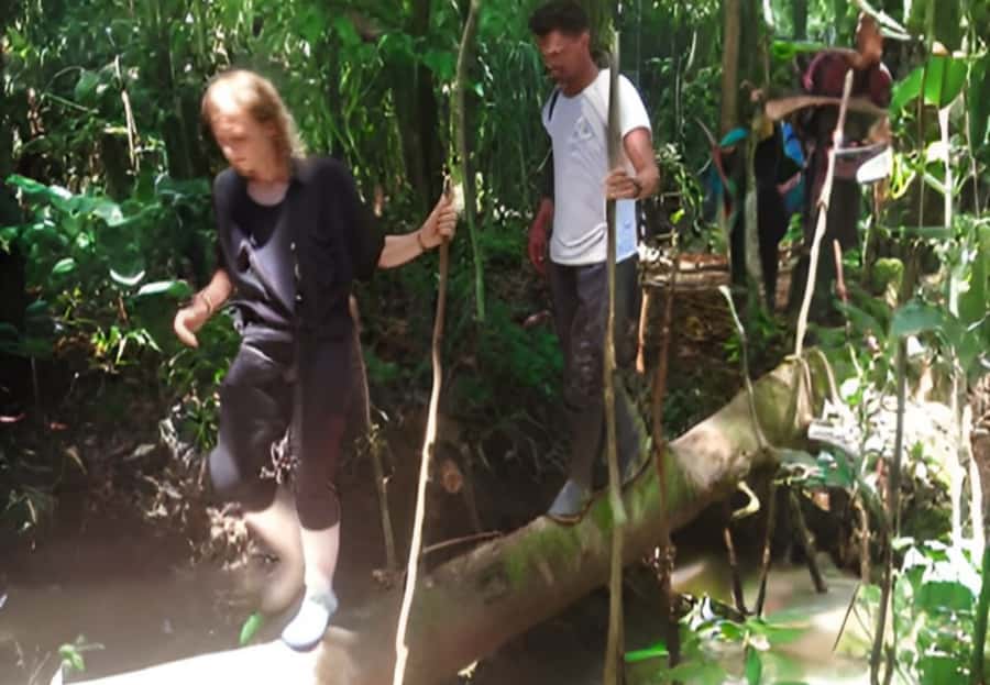 2-Day All Inclusive Guided Jungle Tour from Iquitos - What the $290 price really covers