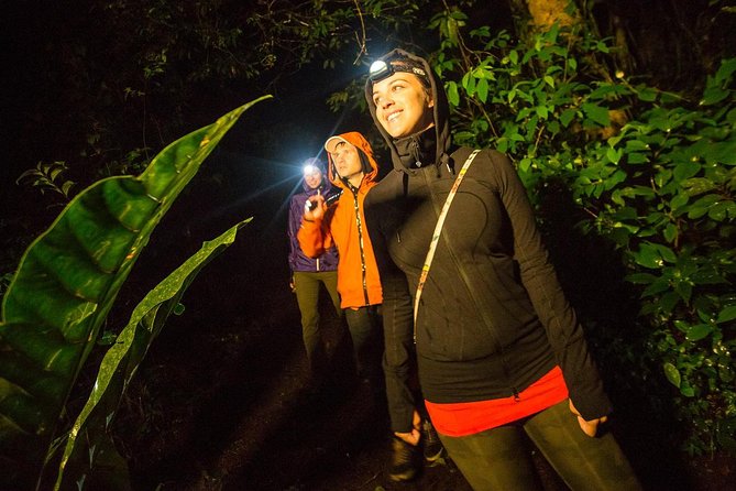2-Day All Inclusive Guided Jungle Tour from Iquitos at Maniti Eco-Lodge - What the $295 price really buys