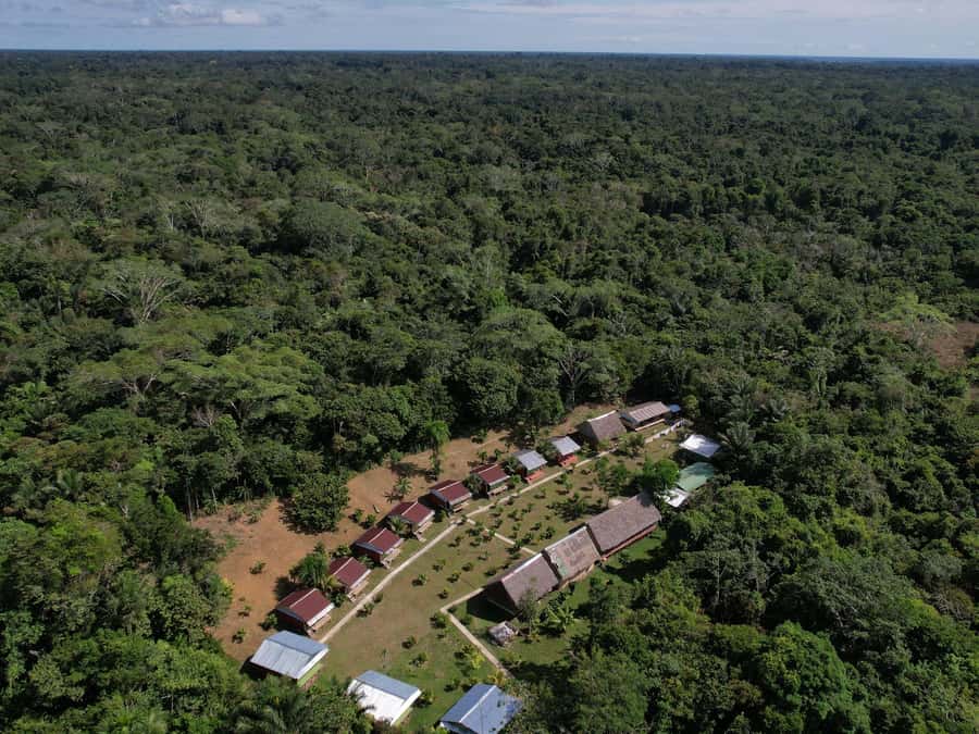 2-Day All Inclusive Guided Jungle Tour from Iquitos - A market stop before the forest