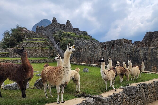 2-Day Inca Trail To Machu Picchu - Wiñay Wayna: the archaeological highlight before Machu Picchu