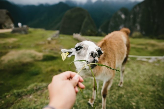 2-Day Short Inca Trail to Machu Picchu - Aguas Calientes gives you a softer night