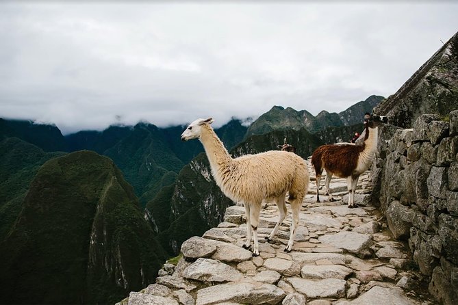 2-Day Short Inca Trail to Machu Picchu - Machu Picchu with a guide on day two