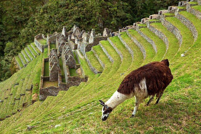 2 Day - Short Inca Trail to Machu Picchu - Group Service - What the two-day route really gives you
