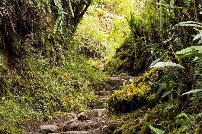 2 Day - Short Inca Trail to Machu Picchu - Group Service - The Sun Gate gives this short trek its finish