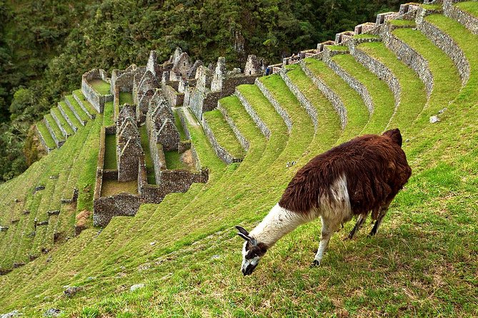2 Day - Short Inca trail to Machu Picchu - Private Services - Huayna Picchu requires a choice