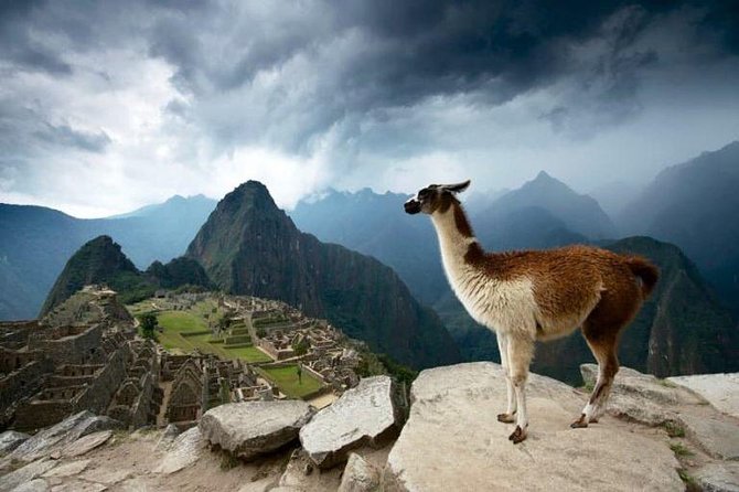 2-Day Short Inca Trail to Machu Picchu - Wiñay Wayna, the trail’s big archaeological reward