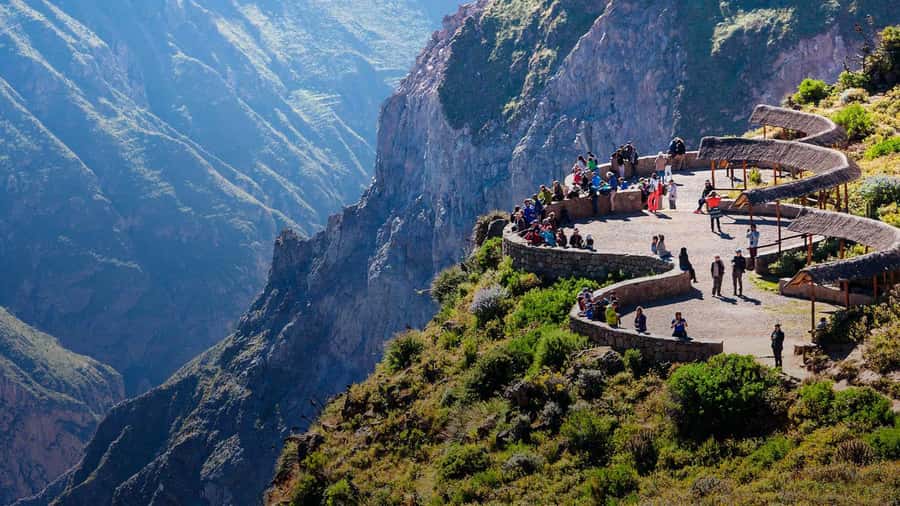 2-Day Tour Colca Canyon in Arequipa with end in Puno - Day two: condors and the Colca Valley