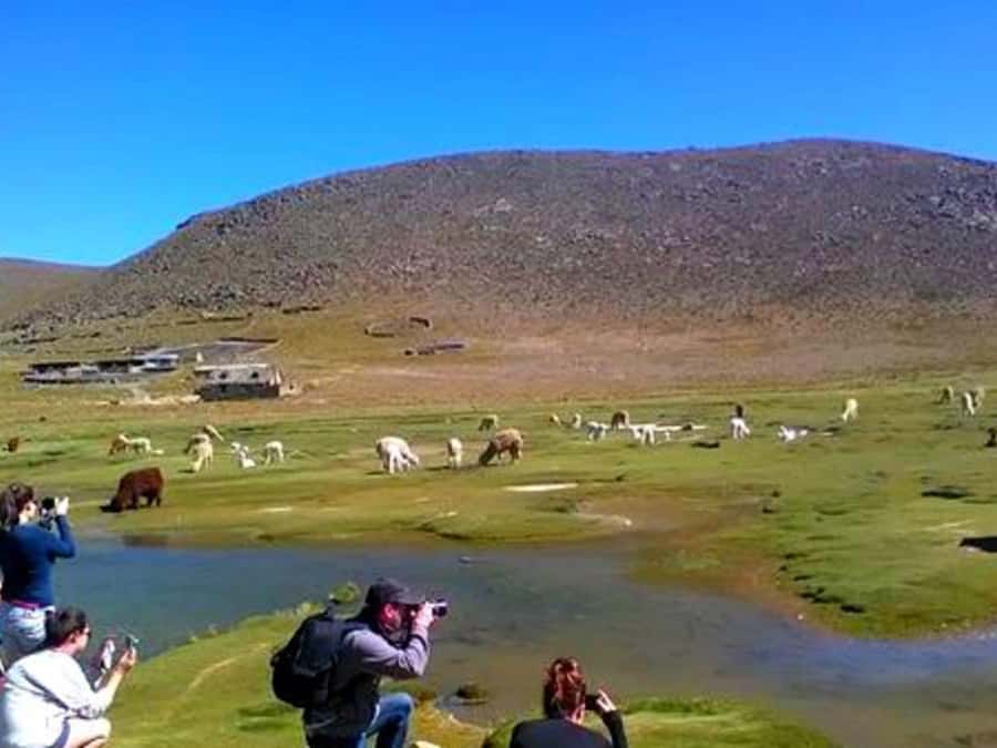 2-Day Tour Colca Canyon in Arequipa with end in Puno - FAQ