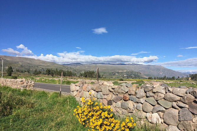 2 Day Trek Including Transfer to Puno / Colca Canyon - A pre-dawn start from Arequipa
