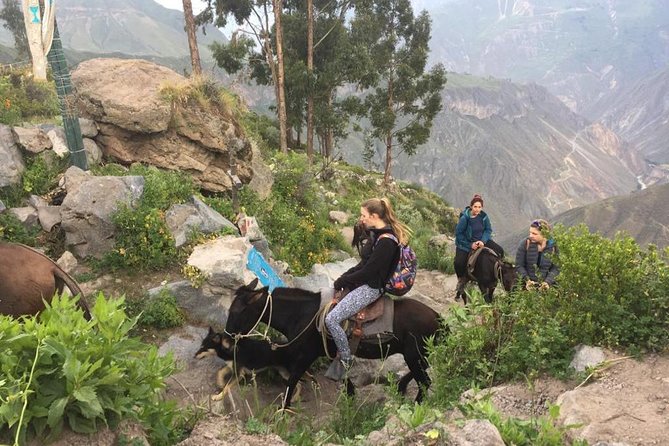 2 Day Trek Including Transfer to Puno / Colca Canyon - Chacapi hot springs are optional but welcome