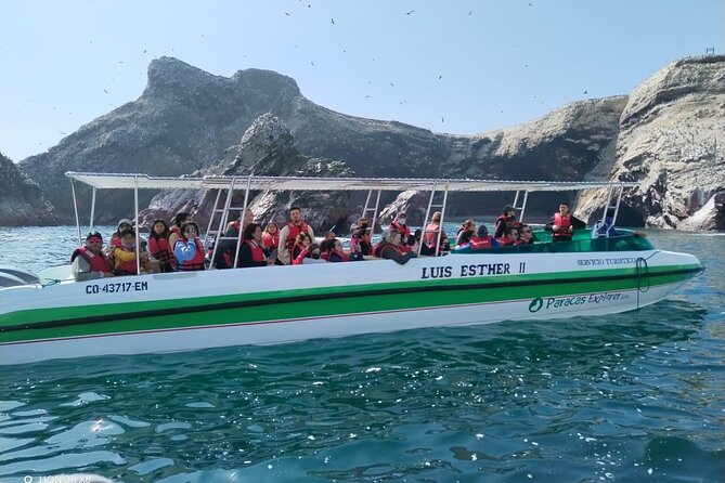 2-Hour Tour to the Ballestas Islands from Puerto San Martín - Why the Ballestas Islands make a strong two-hour outing
