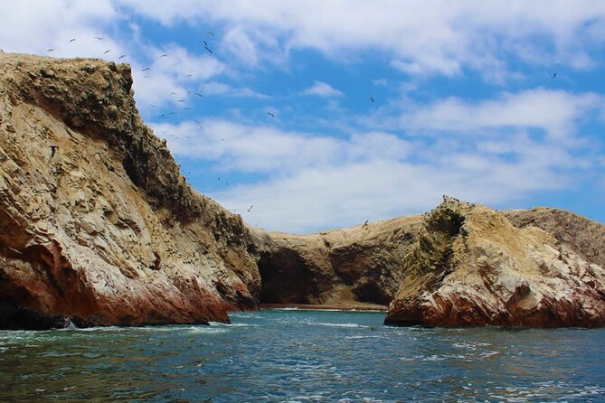 2-Hour Tour to the Ballestas Islands from Puerto San Martín - Is $49 a fair price?