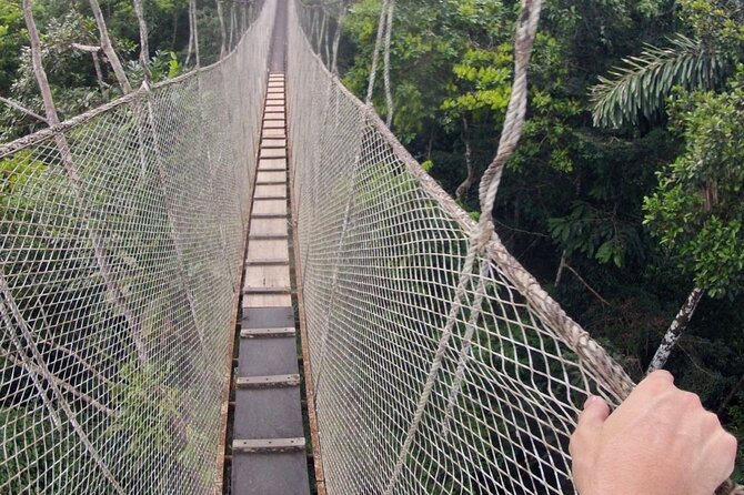 3-Day All Inclusive Guided Jungle Tour from Iquitos at Maniti Eco-Lodge - The final jungle hike and the trip back to Iquitos