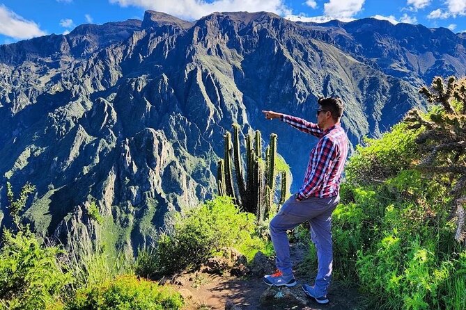 3-Day Colca Canyon trek with Professional Guide - What the guide adds to the walk