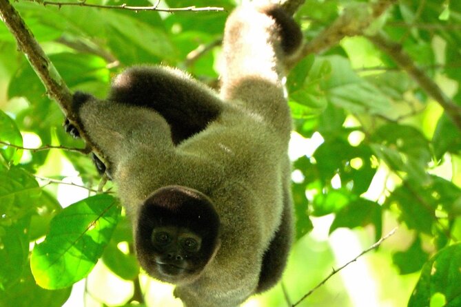 3-Day Eco-Sustainable Private Tour Manu National Park - Key points to know before you book
