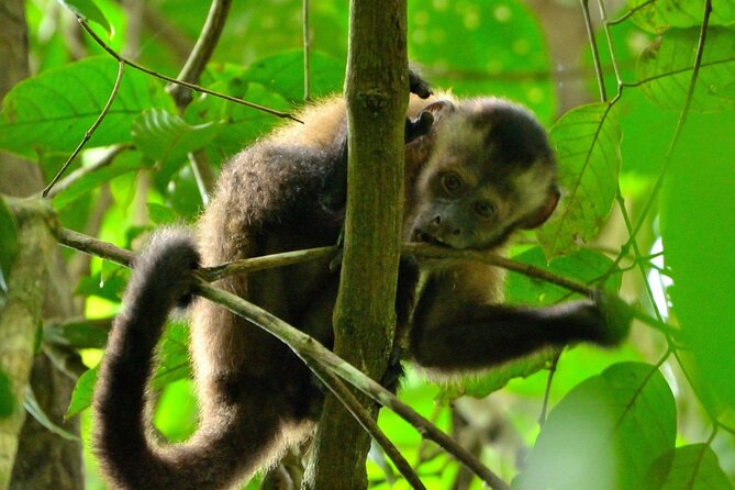 3-Day Eco-Sustainable Private Tour Manu National Park - Entering Manu by road and river