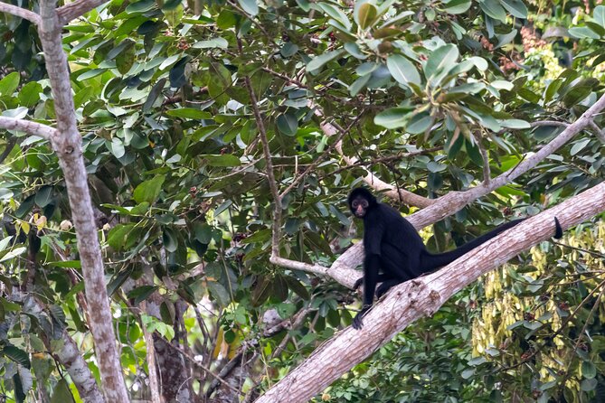 3-Day Eco-Sustainable Private Tour Manu National Park - The parrot clay lick and the return to Cusco