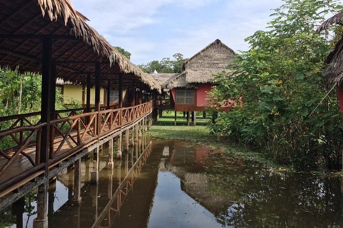 3-Day Iquitos Amazon Jungle Adventure at Heliconia Lodge - Day three: sugarcane, lunch, and the return to Iquitos