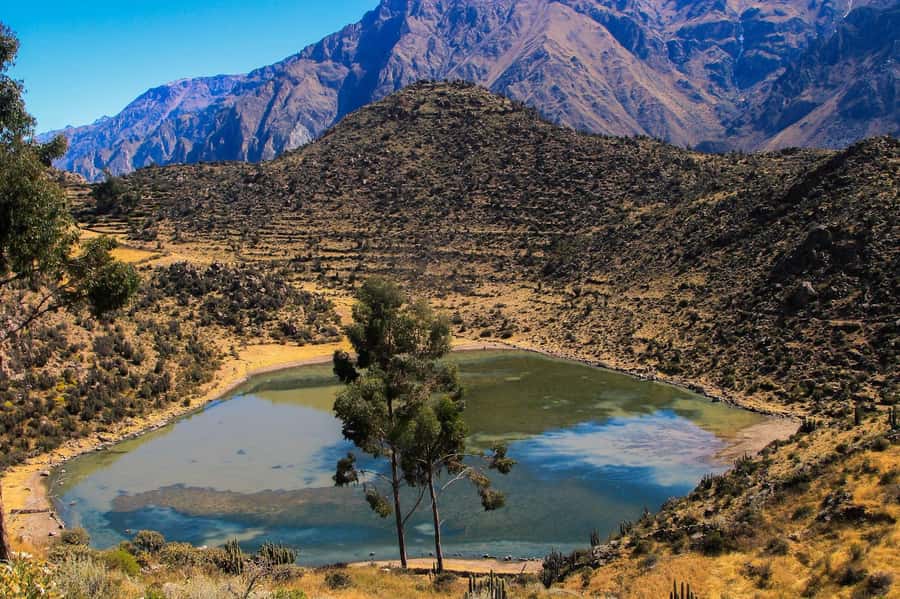 3-day trek to the Colca Canyon from Arequipa ending in Puno - Key points to know before booking
