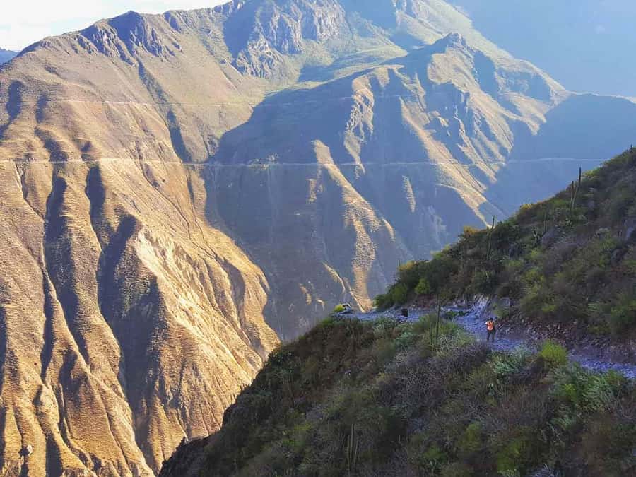 3-day trek to the Colca Canyon from Arequipa ending in Puno - Walking into Colca Canyon instead of just looking at it