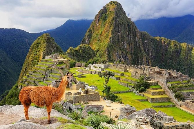 4-Day Excursion to MachuPicchu & Rainbow Mountain & City tour || All Included || - Day 3: Machu Picchu by train and bus