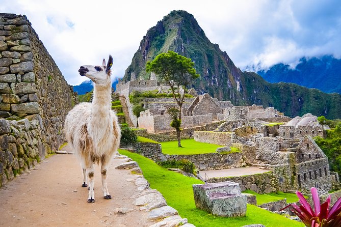 4-Day Excursion to MachuPicchu & Rainbow Mountain & City tour || All Included || - Day 4: A soft landing before your flight