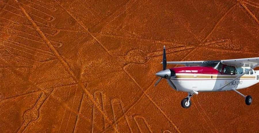 4 Day from Lima: Nazca Lines Flight, Paracas, and Huacachina - Day 2: Ballestas Islands and the Paracas desert