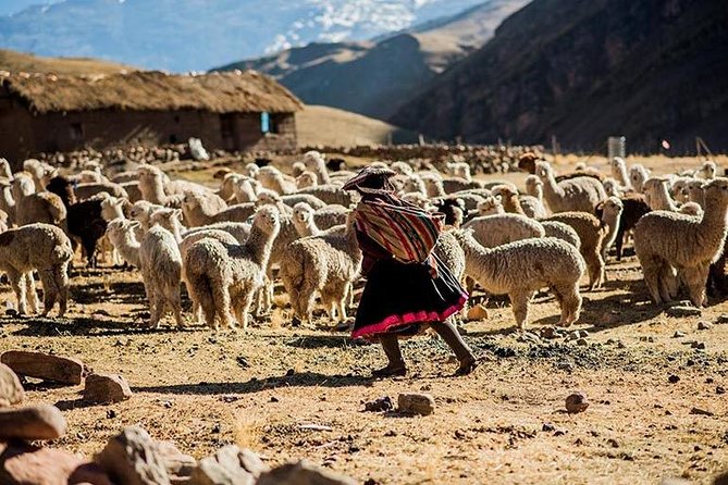 4-Day Lares Trek to Machu Picchu - Why choose the Lares Trek instead of the classic trail