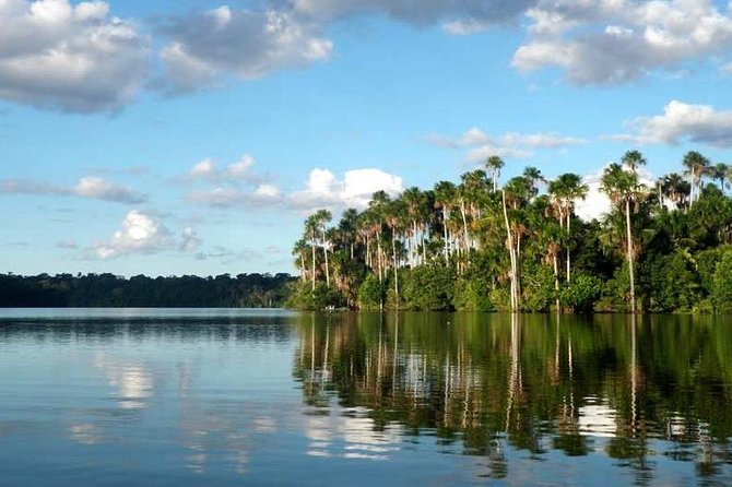 4 Day Tambopata Amazon Wildlife & Canopy Experience - Parrot Clay Licks and a Visit With a Jungle Family