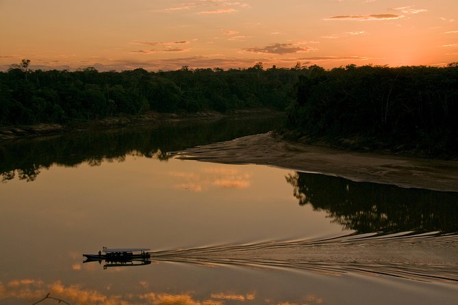 4 Day Tambopata Amazon Wildlife & Canopy Experience - What the $585 Price Really Buys