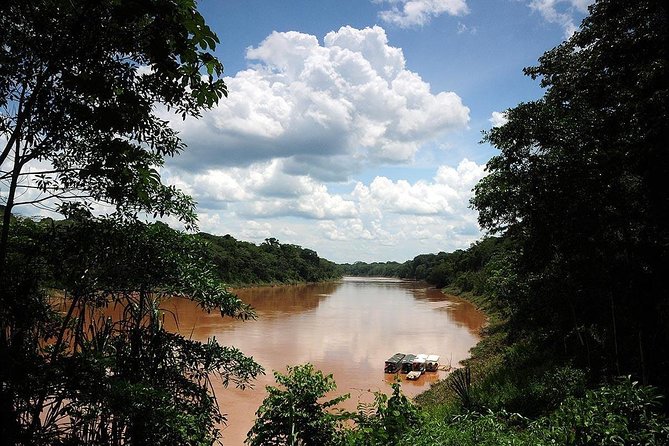 4 Day Tambopata Amazon Wildlife & Canopy Experience - Lodge Life: Comfortable Enough, But Know the Limits