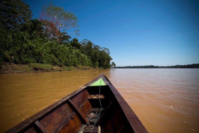 4 Day Tambopata Amazon Wildlife & Canopy Experience - Wildlife: Rewarding, Unpredictable, and Easy to Miss