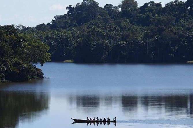 4 Day Tambopata Amazon Wildlife & Canopy Experience - Who Should Book This Tambopata Trip?