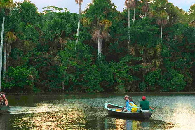 4 Day Tambopata Amazon Wildlife & Canopy Experience - Piranha Fishing and a More Adventurous Afternoon