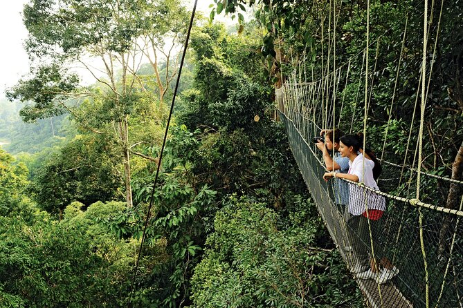 4 Day Tambopata Jungle Tour with Local Guide - Day two: the long walk to Lake Sandoval