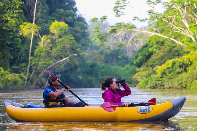 4 Day Tambopata Jungle Tour with Local Guide - Day one: canopy views, river time, and Monkey Island