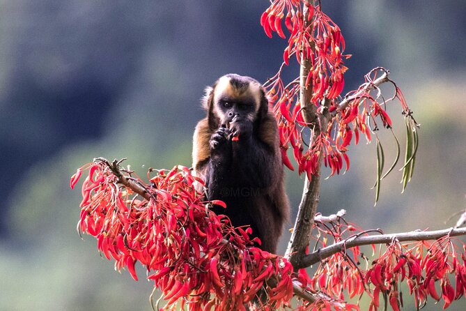 4 Day Tour to the Manu National Park - Key Points Before You Book