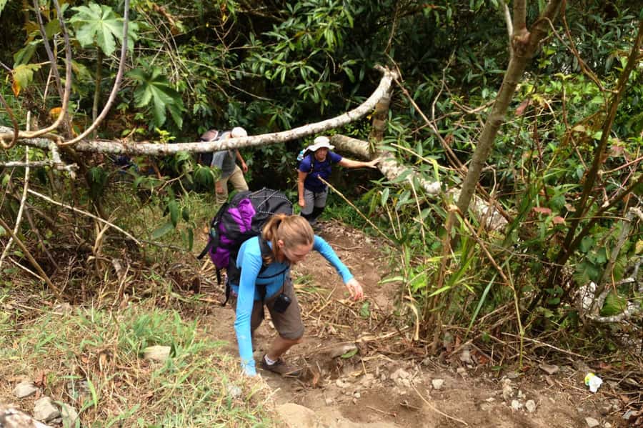 4 Days Inca Jungle Adventure to Machu Picchu - Who should choose this route