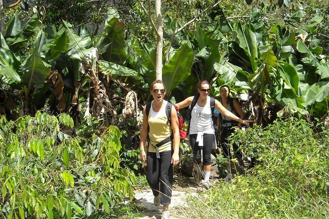 4 Days Inca Jungle to Machu Picchu Standard - Food, rooms, and what to pack