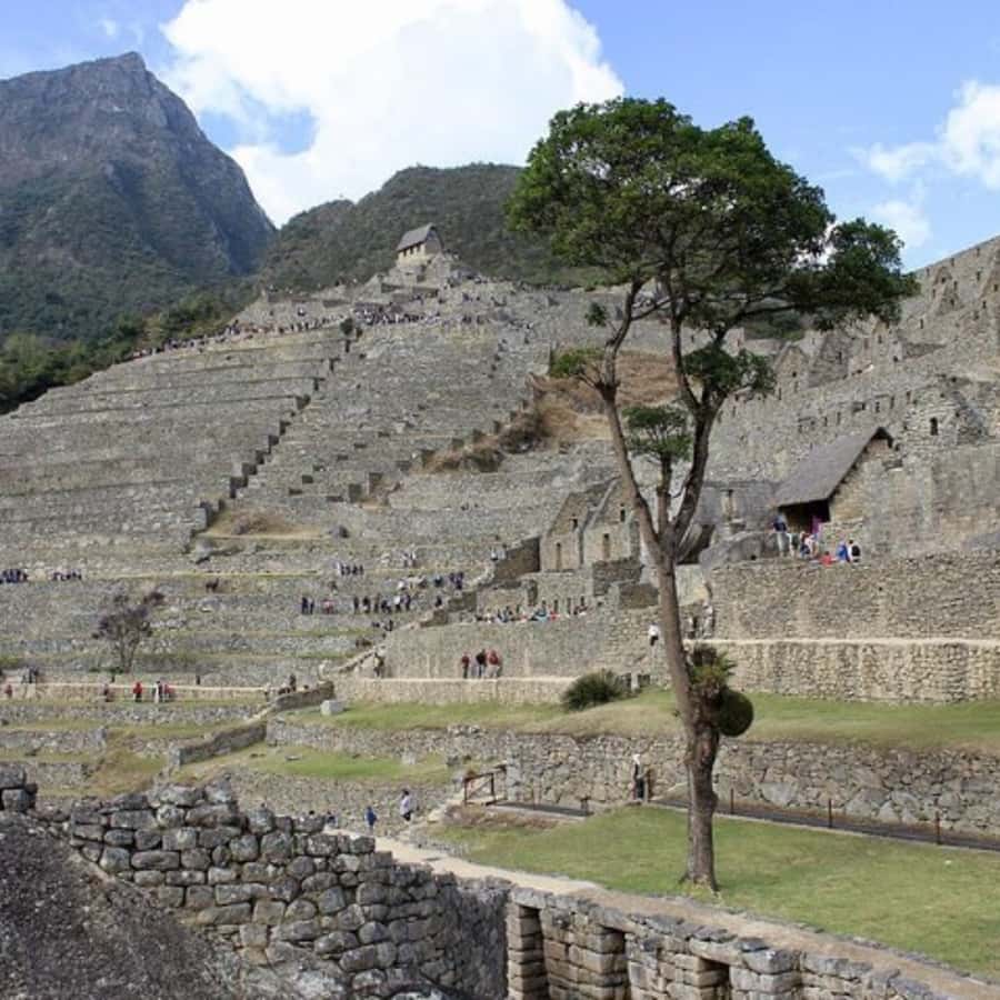 5-Day Classic Salkantay Trek to Machu Picchu return by Train - Day 3: From the high country into the jungle