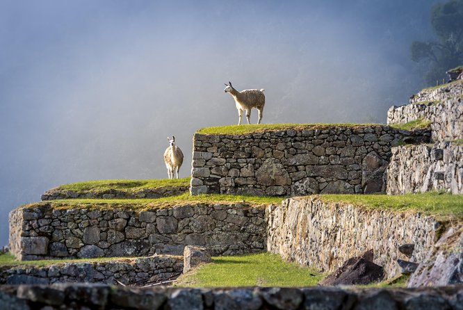5 Day - Tour to Machu Picchu Traditional - Group service - What the $813 price really buys