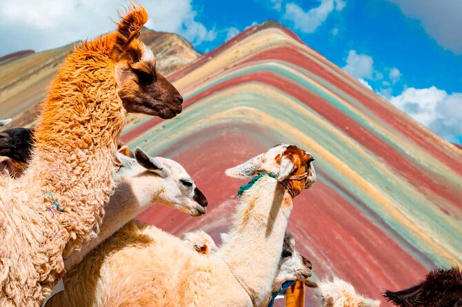 6-Day Tour of Cusco Magico-Machu Picchu-Rainbow Mountain - Who should book this six-day route