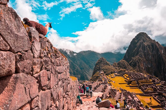 6-Day Tour of Cusco Magico-Machu Picchu-Rainbow Mountain - Day 3: The long-awaited Machu Picchu morning
