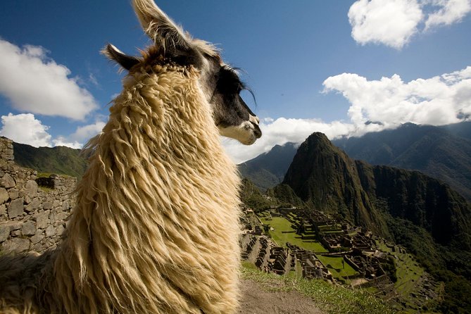 7 Day Peru Private Journey - Machu Picchu by Bus and Guided Walk