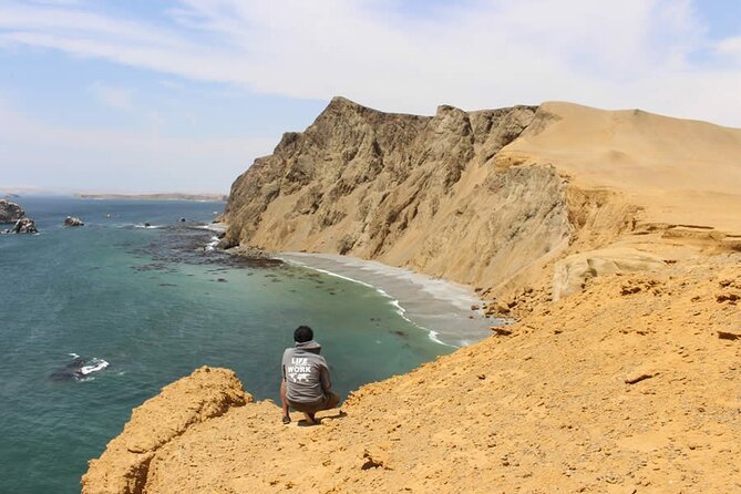 7-Hours Tour in Paracas National Reserve with Pickup - What you can see around the islands